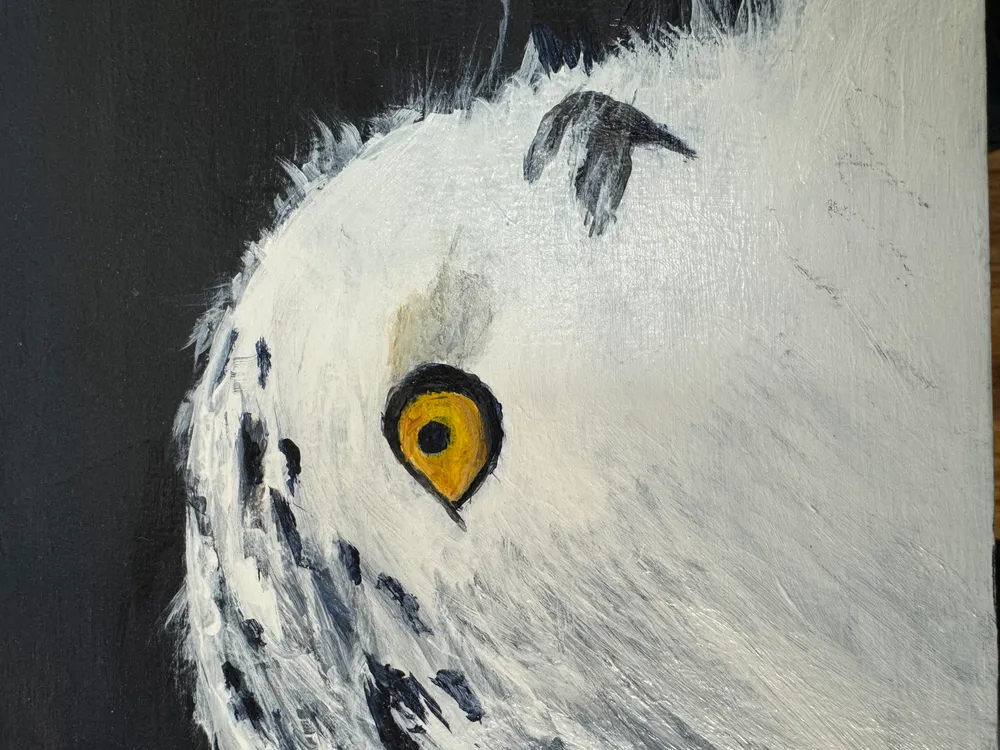 Work by Carole Francis