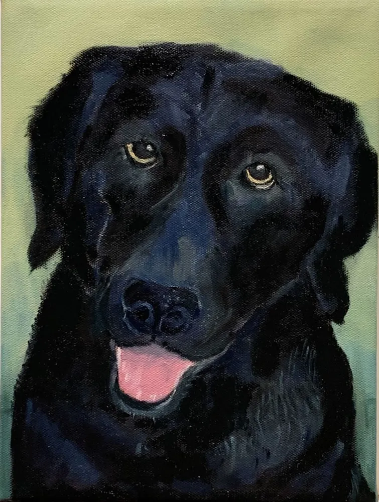 Work by Jennifer Rankin