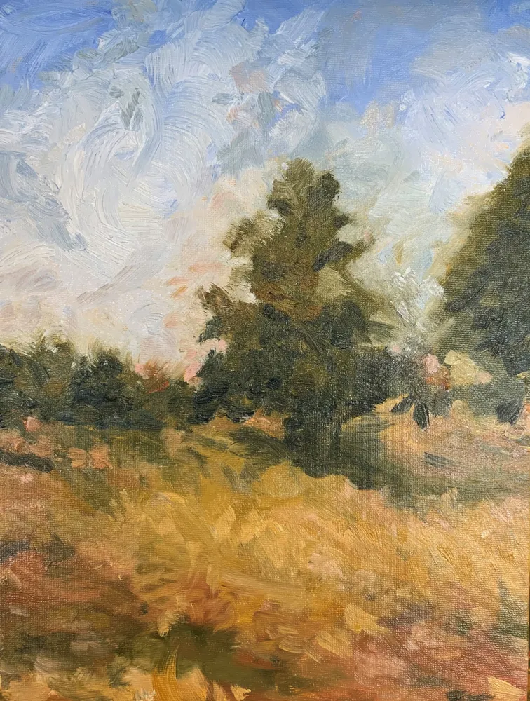 Work by Jennifer Rankin