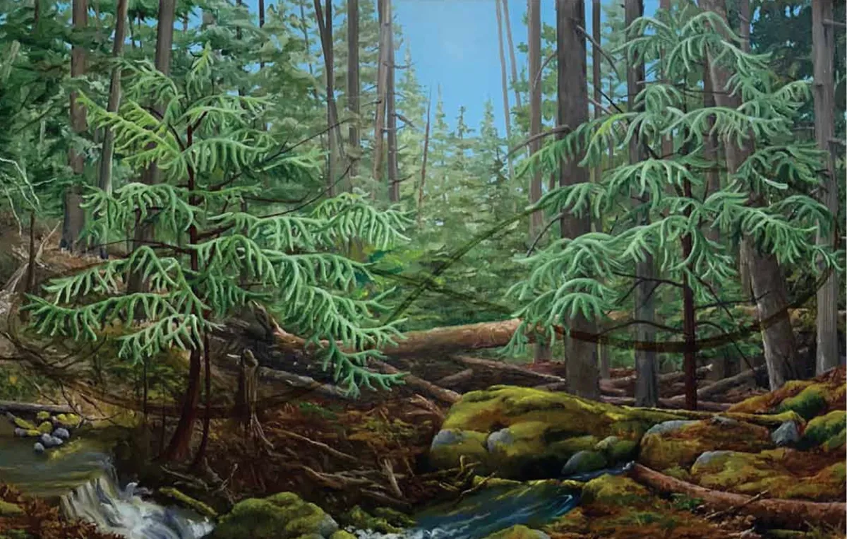 Healing Forest: In Honour of What Forests give us — image 1