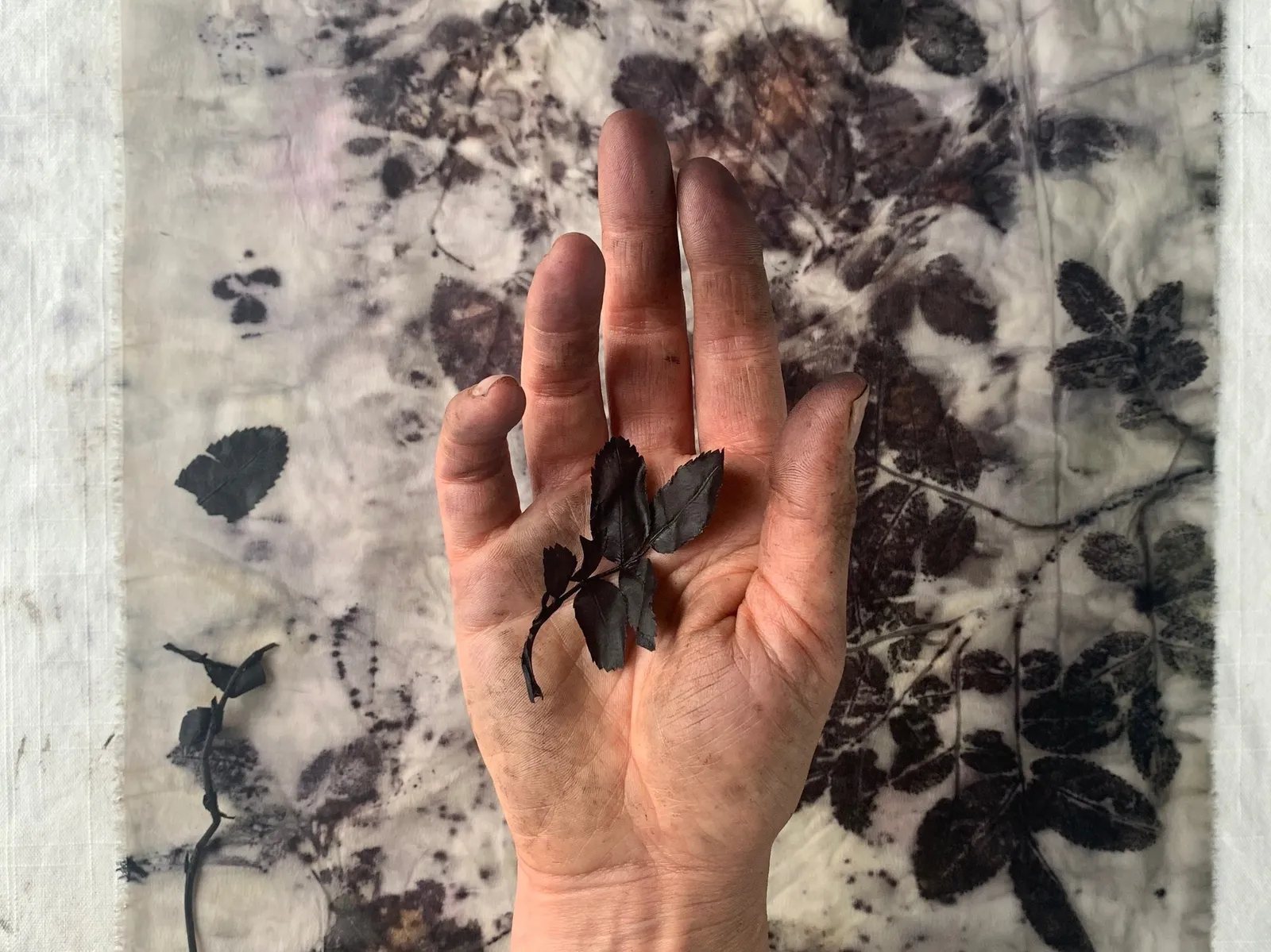 Strange Magnetism by Heather Close and Sarah Nordean